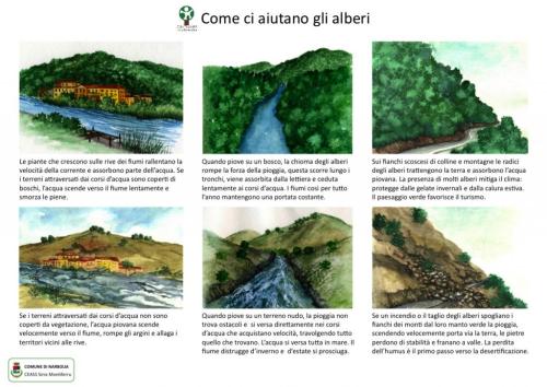 Come-ci-aiutano-gli-alberi