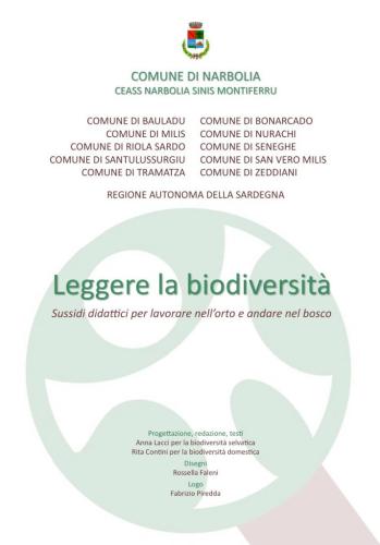 Copertina-cartoni-faccia