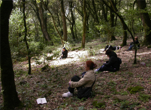 Il-laboratorio-con-i-docenti_4