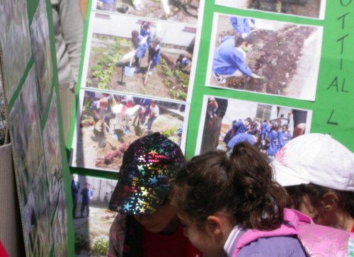 Il-mercato-delle-verdurine_2