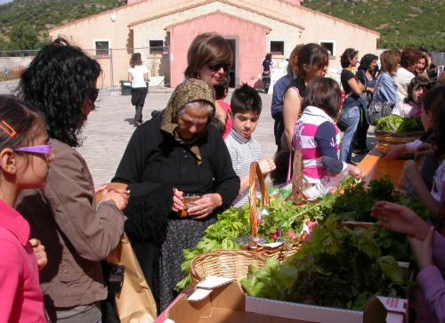 Il-mercato-delle-verdurine_3
