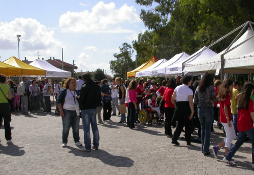 Il-mercato-delle-verdurine_4