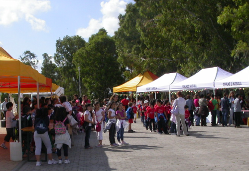 Il-mercato-delle-verdurine_6