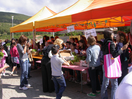 Il-mercato-delle-verdurine_7