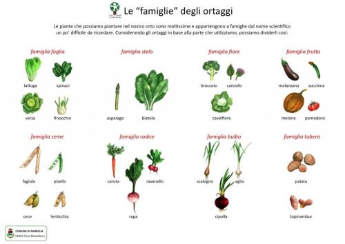 La-famiglie-degli-ortaggi