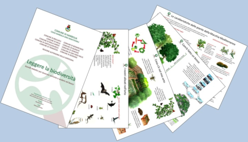 Materiali-didattici1