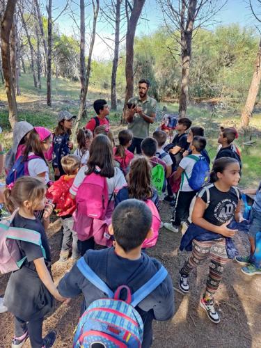 escursione pinetta is arenas