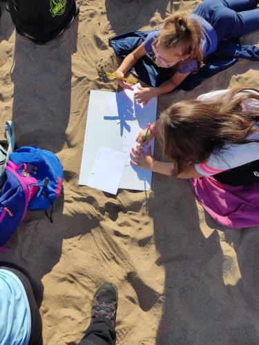 escursione spiaggia is arenas