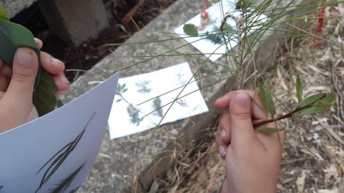 percorsi didatici in natura3