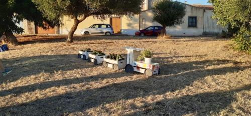 valorizazione aree verdi